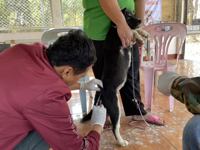 โครงการส่งเสริมและรณรงค์ป้องกันโรคพิษสุนัขบ้าและทำหมันสุนัข ประจำปี 2566